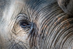 Thailande_2023_Photos_Olivier_0742