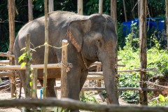 Thailande_2023_Photos_Olivier_0839