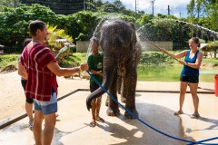 Thailande_2023_Photos_Olivier_0879