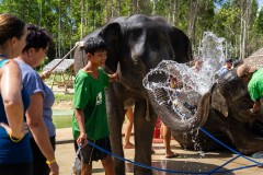Thailande_2023_Photos_Olivier_0887