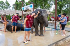 Thailande_2023_Photos_Olivier_0890
