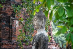 Thailande_2023_Photos_Olivier_0273